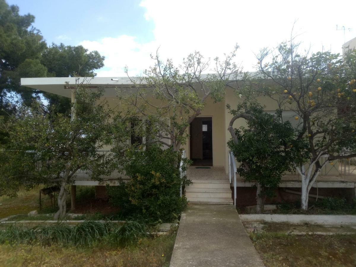 Vangelis House Near Athens Airport Artémida Eksteriør bilde