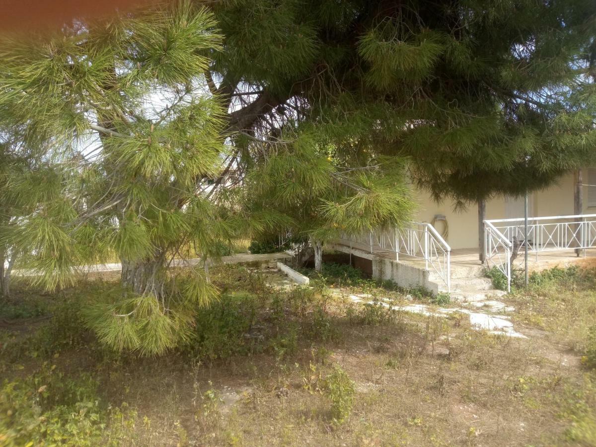 Vangelis House Near Athens Airport Artémida Eksteriør bilde